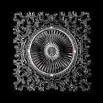 Taç Şeffaf Supla 531