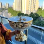 Kelebek Sunumluk 23 cm