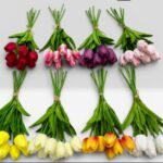 ISLAK LALE 8'Lİ   KOLİ İÇİ 24 ADET         AYM-3206