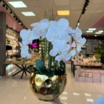 ORKİDE ARAJMAN 528