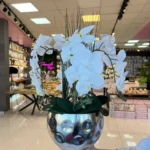 ORKİDE ARAJMAN 529